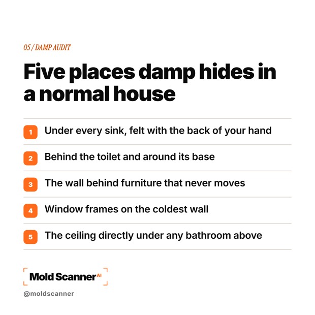 slide 7