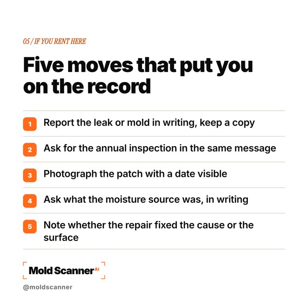 slide 7