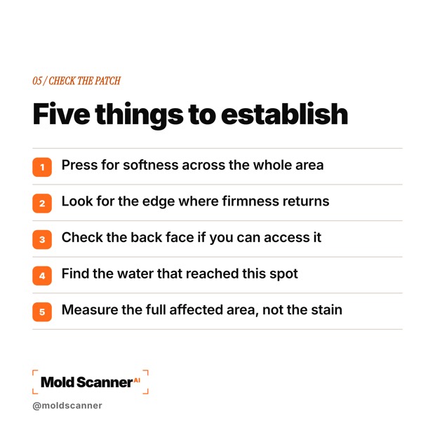 slide 7