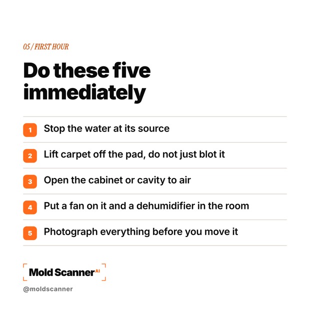 slide 7