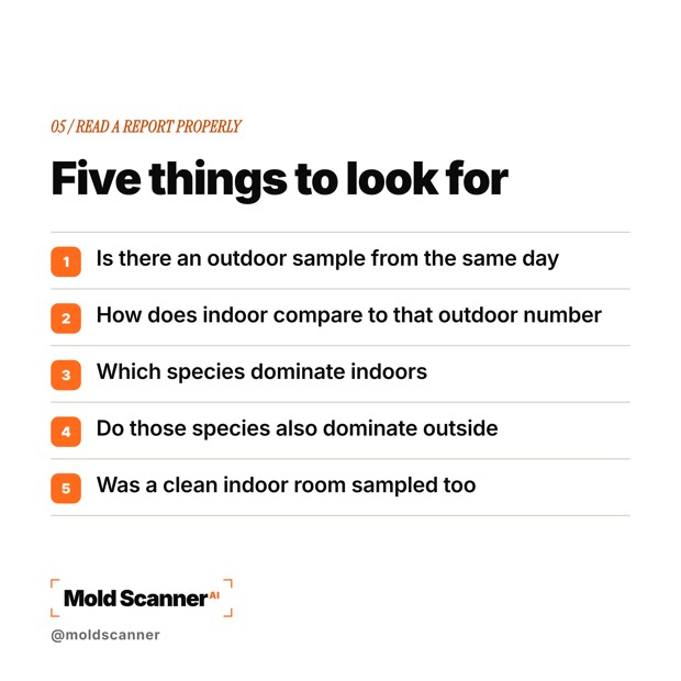 slide 7