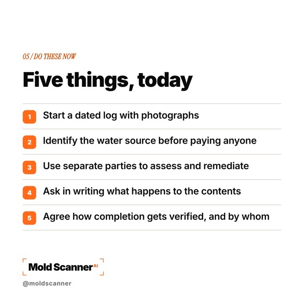 slide 7