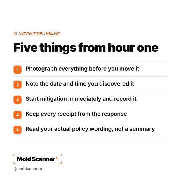 slide 7