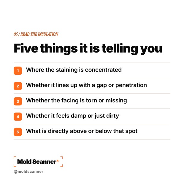 slide 7