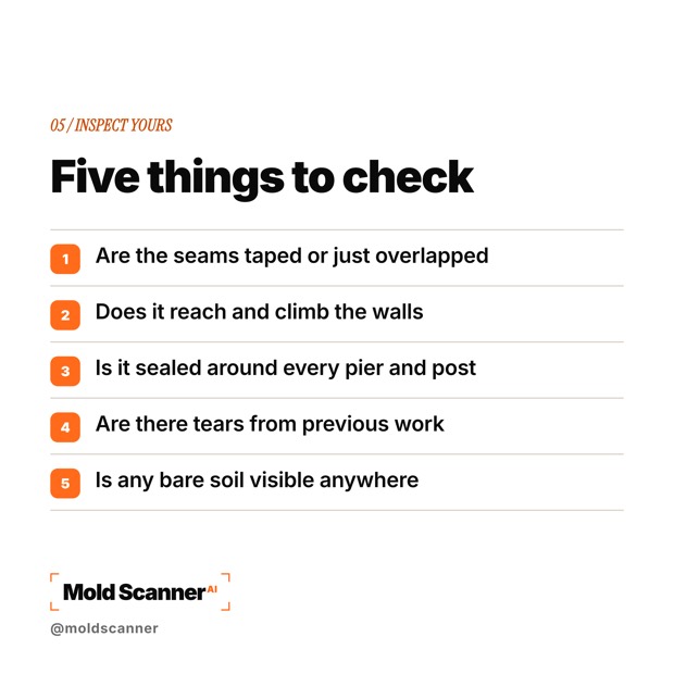 slide 7